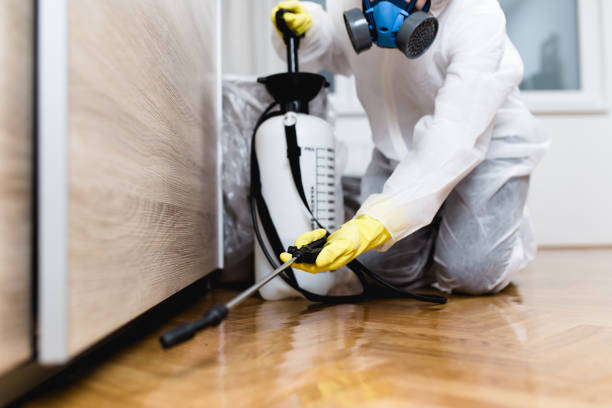 Best Pest Control for Businesses  in Malaga, NJ