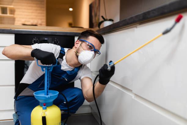 Best Cockroach Control Services  in Malaga, NJ