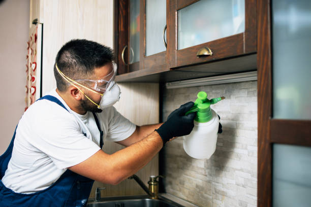 Best Pest Inspection Near Me  in Malaga, NJ