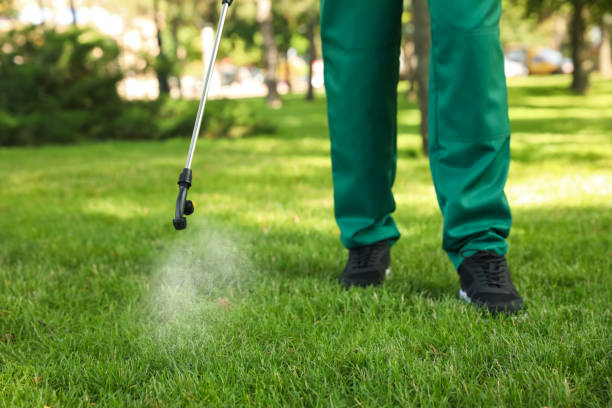 Best Local Pest Control Services  in Malaga, NJ