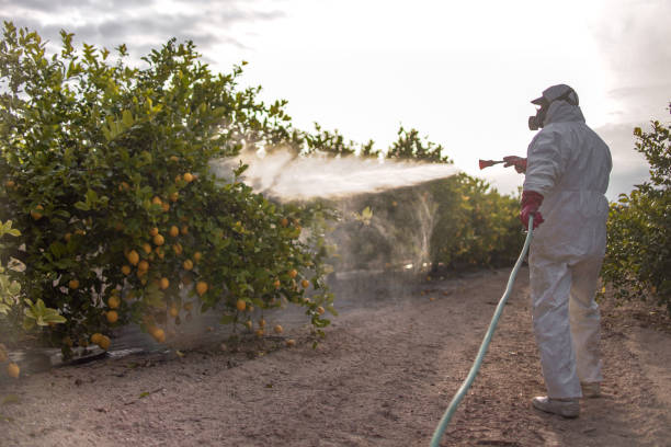 Insect Control in Malaga, NJ