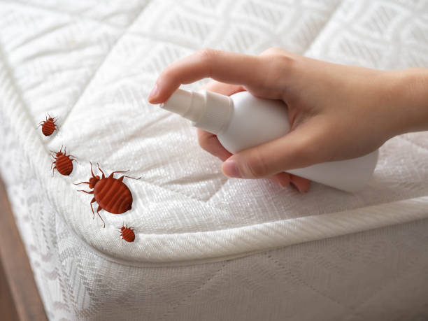 Best Commercial Pest Control Services  in Malaga, NJ