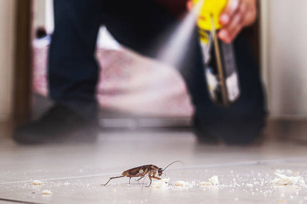 Best Spider Control Near Me  in Malaga, NJ